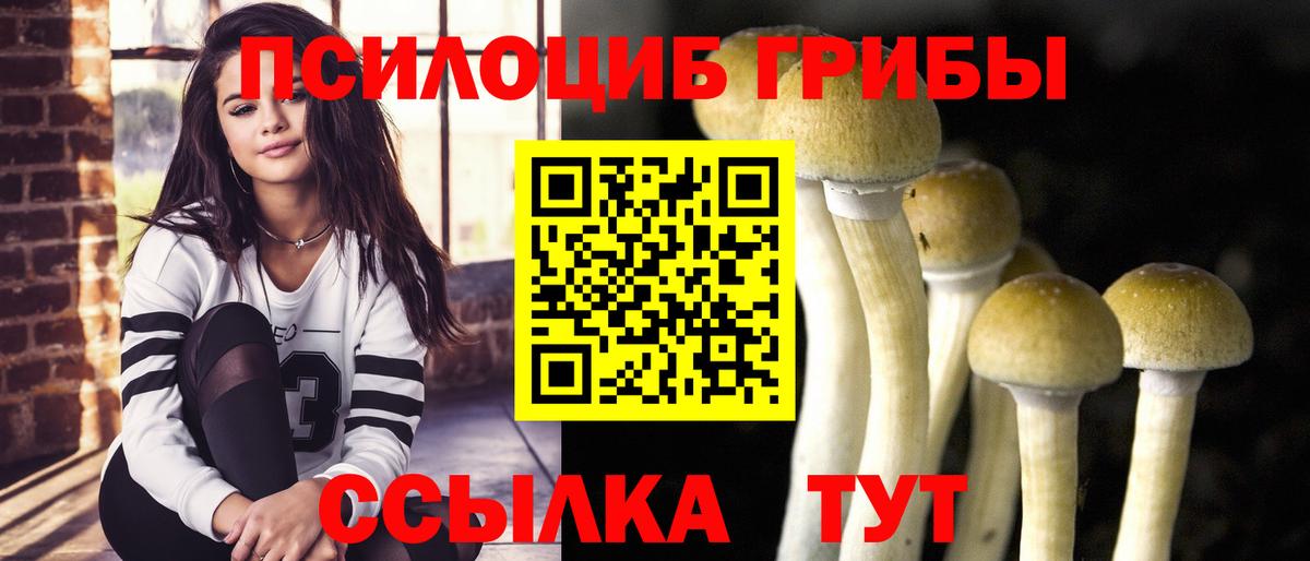 Псилоцибиновые грибы ЛСД  Вход с VPN  Выкса 